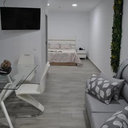 Apartmán Viviendas De Uso Turistico Noble Hidalgo *